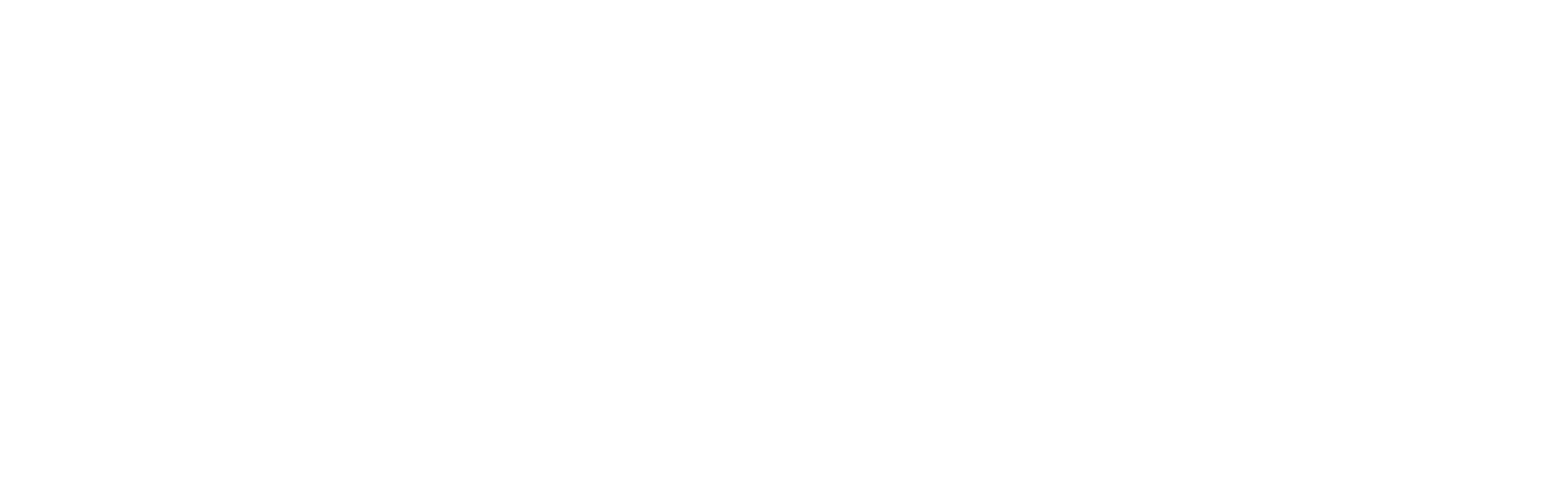 Bazaar Gourmet
